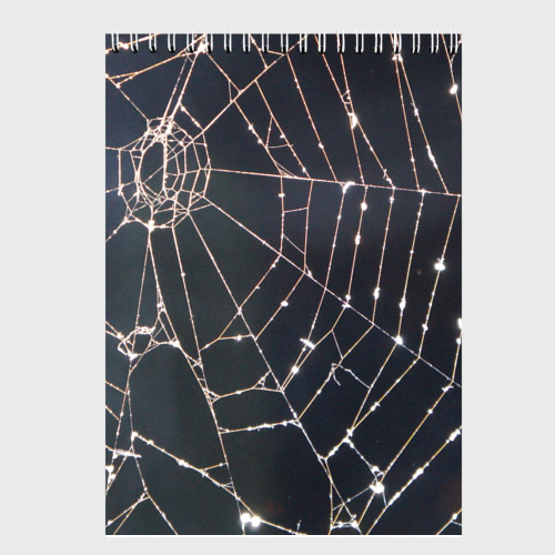 Скетчбук Блестящий паук в паутине, цвет белый - фото 2
