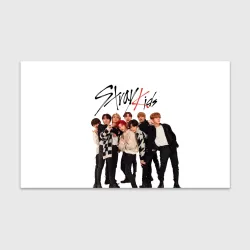 Бумага для упаковки 3D Stray Kids white background