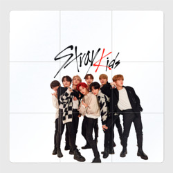 Магнитный плакат 3Х3 Stray Kids white background