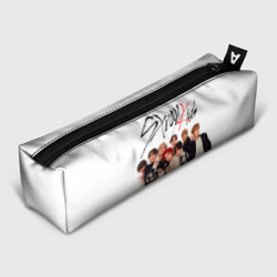 Пенал школьный 3D Stray Kids white background