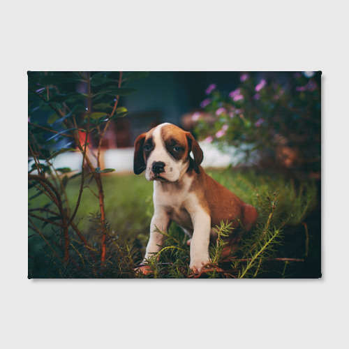 Холст прямоугольный Милый щенок на траве, цвет 3D печать - фото 2