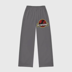 Женские брюки oversize без начеса хлопок Интернета нет - мем с динозавром