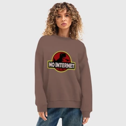 Женский свитшот oversize без начеса хлопок Интернета нет - мем с динозавром - фото 2