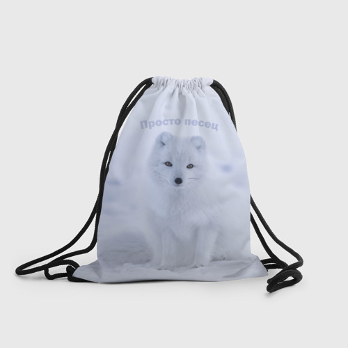 Рюкзак-мешок 3D Просто песец на снегу