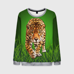 Мужской свитшот 3D Леопард на фоне травы