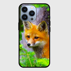 Чехол для iPhone 13 Pro Молодая рыжая лиса