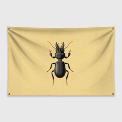 Флаг-баннер Scarites bucida - тип 2