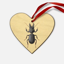 Деревянная игрушка Сердце Scarites bucida - тип 2