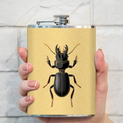 Фляга Scarites bucida - тип 2 - фото 2