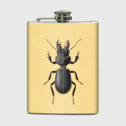 Фляга Scarites bucida - тип 2