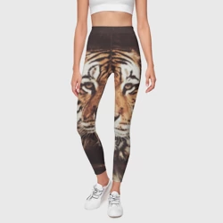 Леггинсы 3D Прекрасный тигр - фото 2