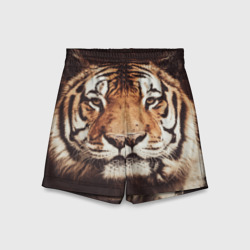 Детские спортивные шорты 3D Прекрасный тигр