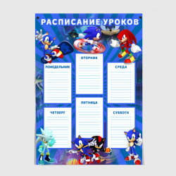 Постер Sonic и Наклз школьное расписание