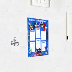 Постер с принтом Sonic и Наклз школьное расписание для любого человека, вид спереди №3. Цвет основы: белый
