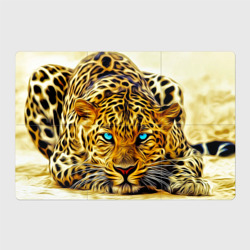 Магнитный плакат 3Х2 Индийский леопард