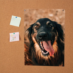 Постер Красивый пёс крупным планом - фото 2