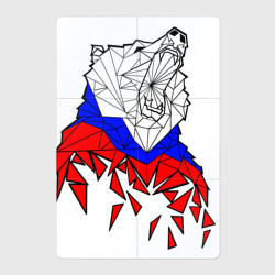 Магнитный плакат 2Х3 Медведь в цветах флага