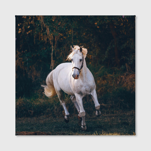 Холст квадратный Скачущая белая лошадь, цвет 3D печать - фото 2