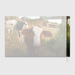 Флаг 3D Милая коровка - фото 2