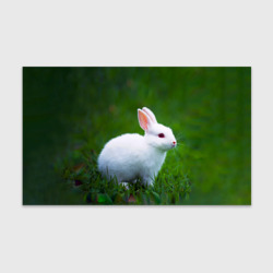 Бумага для упаковки 3D Кролик на фоне травы
