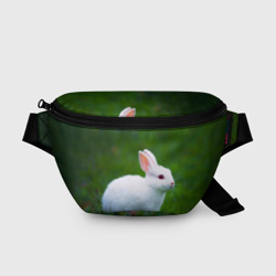 Поясная сумка 3D Кролик на фоне травы