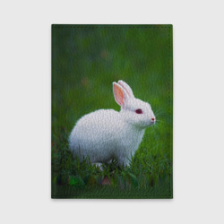Обложка для автодокументов Кролик на фоне травы