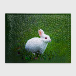 Обложка для студенческого билета Кролик на фоне травы