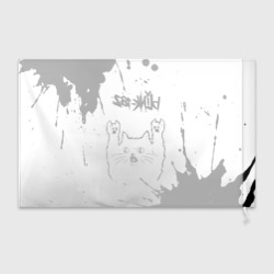 Флаг 3D Blink 182 рок кот на светлом фоне - фото 2