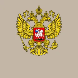 Мужской свитшот хлопок Герб России - прозрачный фон - фото 3