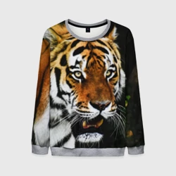 Мужской свитшот 3D Боевой тигр