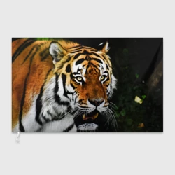 Флаг 3D Боевой тигр