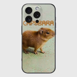 Чехол для iPhone 16 Pro силиконовый с защитой камеры Детёныш капибара