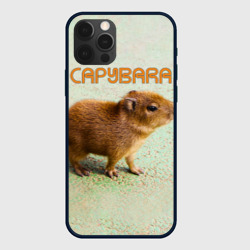 Чехол для iPhone 12 Pro Детёныш капибара