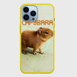 Чехол для iPhone 14 Pro Max Детёныш капибара