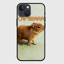 Чехол для iPhone 13 mini Детёныш капибара