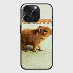 Чехол силиконовый для Apple iPhone 15 Pro матовый Детёныш капибара