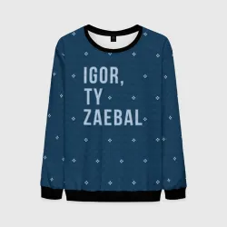 Мужской свитшот 3D Igor ty za*bal свитер
