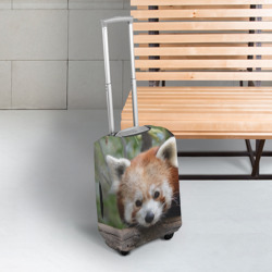 Чехол для чемодана 3D Красная панда - фото 2