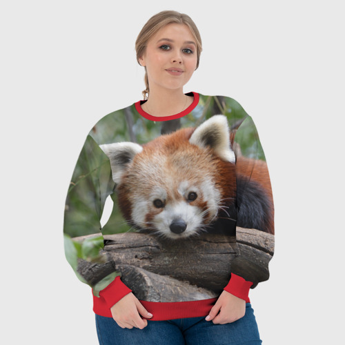 Женский свитшот 3D с принтом Красная панда, фото #4