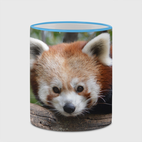 Кружка с полной запечаткой с принтом Красная панда, фото #4