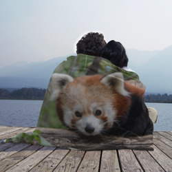 Плед 3D Красная панда - фото 2