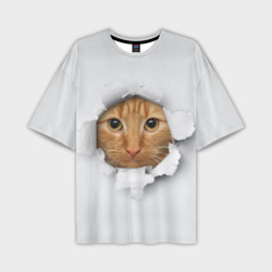 Мужская футболка oversize 3D Рыжий кот разрывает пространство