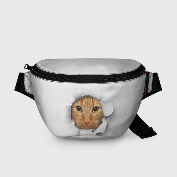 Сумка рыжий кот. Сумка рыжий кот