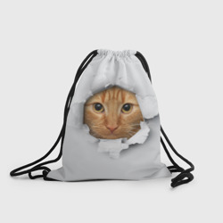 Рюкзак-мешок 3D Рыжий кот разрывает пространство