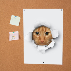 Постер Рыжий кот разрывает пространство - фото 2