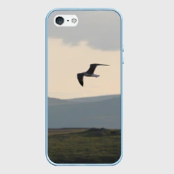 Чехол для iPhone 5/5S матовый Чайка над холмами