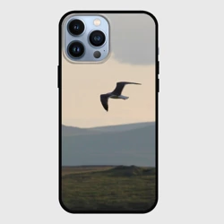 Чехол для iPhone 13 Pro Max Чайка над холмами