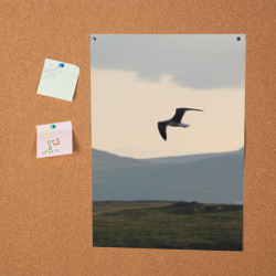 Постер Чайка над холмами - фото 2