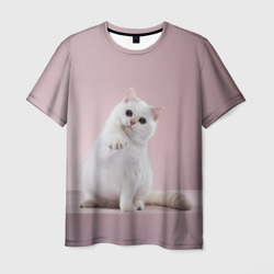 Мужская футболка 3D Шиншилла кошка