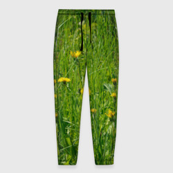 Мужские брюки 3D Солнечные одуванчики